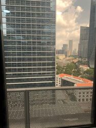 International Plaza (D2), Office #559885771